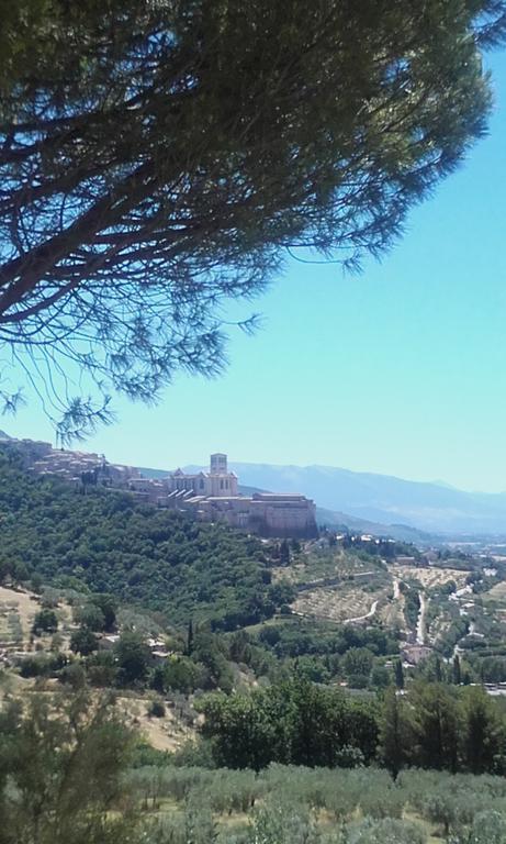 Colle San Francesco Assisi