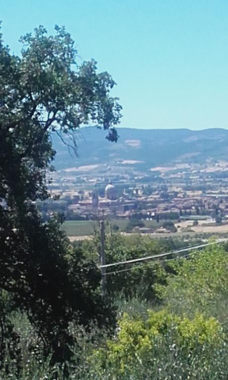 Country house Colle San Francesco *